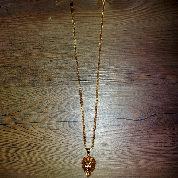 Gold God's 18k gold filled 22" franco chain +with lion head pendant. - Picture 1 of 1